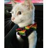 image:imageHuxley amp Kent Pet Bow Tie for Dogs amp Cats  PrideTheme Adjustable Hook amp Loop Collar Accessory  Cute amp Comfortable for Holidays amp Celebrations  Pride Equality ExtraLargeEquality
