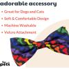 image:imageHuxley amp Kent Pet Bow Tie for Dogs amp Cats  PrideTheme Adjustable Hook amp Loop Collar Accessory  Cute amp Comfortable for Holidays amp Celebrations  Pride Equality ExtraLargeUnity