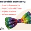 image:imageHuxley amp Kent Pet Bow Tie for Dogs amp Cats  PrideTheme Adjustable Hook amp Loop Collar Accessory  Cute amp Comfortable for Holidays amp Celebrations  Pride Equality ExtraLargeBoneDana Multi
