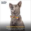 image:imageHuxley amp Kent Pet Bow Tie for Dogs amp Cats  PrideTheme Adjustable Hook amp Loop Collar Accessory  Cute amp Comfortable for Holidays amp Celebrations  Pride Equality ExtraLargeAll Together
