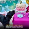 image:imageHuxley amp Kent Pet Party Hat for Dogs amp Cats  Fun Birthday Hat with SnugFit Adjustable Straps  Comfy Pet Costume Accessory for Parties Gotcha Days amp Celebrations  Blue SmallPink