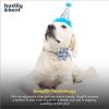 image:imageHuxley amp Kent Pet Party Hat for Dogs amp Cats  Fun Birthday Hat with SnugFit Adjustable Straps  Comfy Pet Costume Accessory for Parties Gotcha Days amp Celebrations  Blue SmallHappy Got Me Day