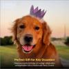 image:imageHuxley amp Kent Pet Party Hat for Dogs amp Cats  Fun Birthday Hat with SnugFit Adjustable Straps  Comfy Pet Costume Accessory for Parties Gotcha Days amp Celebrations  Blue SmallPurple
