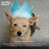 image:imageHuxley amp Kent Pet Party Hat for Dogs amp Cats  Fun Birthday Hat with SnugFit Adjustable Straps  Comfy Pet Costume Accessory for Parties Gotcha Days amp Celebrations  Blue SmallBlue