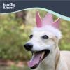 image:imageHuxley amp Kent Pet Party Hat for Dogs amp Cats  Fun Birthday Hat with SnugFit Adjustable Straps  Comfy Pet Costume Accessory for Parties Gotcha Days amp Celebrations  Blue SmallPink