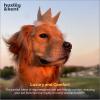 image:imageHuxley amp Kent Pet Party Hat for Dogs amp Cats  Fun Birthday Hat with SnugFit Adjustable Straps  Comfy Pet Costume Accessory for Parties Gotcha Days amp Celebrations  Blue SmallGold