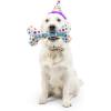 image:imageHuxley amp Kent Pet Party Hat for Dogs amp Cats  Fun Birthday Hat with SnugFit Adjustable Straps  Comfy Pet Costume Accessory for Parties Gotcha Days amp Celebrations  Blue SmallHappy Barkday