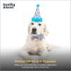 image:imageHuxley amp Kent Pet Party Hat for Dogs amp Cats  Fun Birthday Hat with SnugFit Adjustable Straps  Comfy Pet Costume Accessory for Parties Gotcha Days amp Celebrations  Blue SmallHappy Got Me Day