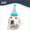 image:imageHuxley amp Kent Pet Party Hat for Dogs amp Cats  Fun Birthday Hat with SnugFit Adjustable Straps  Comfy Pet Costume Accessory for Parties Gotcha Days amp Celebrations  Blue SmallHappy Got Me Day