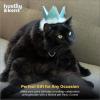 image:imageHuxley amp Kent Pet Party Hat for Dogs amp Cats  Fun Birthday Hat with SnugFit Adjustable Straps  Comfy Pet Costume Accessory for Parties Gotcha Days amp Celebrations  Blue SmallBlue