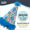 image:imageHuxley amp Kent Pet Party Hat for Dogs amp Cats  Fun Birthday Hat with SnugFit Adjustable Straps  Comfy Pet Costume Accessory for Parties Gotcha Days amp Celebrations  Blue SmallHappy Got Me Day
