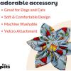 image:imageHuxley amp Kent Pet Pinwheel  Cocktail Party Small  Collar Accessory for DogsCats  Bow Collar Attachment  Cute Comfortable Accessory  HampK Pinwheel for PetsSmall