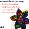 image:imageHuxley amp Kent Pet Pinwheel  Equality Small  Pride Collar Accessory for DogsCats  Fun Comfortable amp Adjustable Pet AccessoryUnity