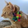 image:imageHuxley amp Kent Pet Pinwheel  Equality Small  Pride Collar Accessory for DogsCats  Fun Comfortable amp Adjustable Pet AccessoryWoodstock