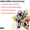 image:imageHuxley amp Kent Pet Pinwheel  Happy Barkday Small  Birthday Collar Accessory for DogsCats  Bow Collar Attachment  Cute Comfortable Accessory  HampK Pinwheel for PetsHappy Barkday