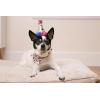 image:imageHuxley amp Kent Pet Pinwheel  Happy Barkday Small  Birthday Collar Accessory for DogsCats  Bow Collar Attachment  Cute Comfortable Accessory  HampK Pinwheel for PetsSuperstar