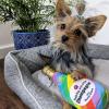 image:imageHuxley amp Kent for Dogs  Fuzzy Soft Seltzer Large  Pride Funny Dog Toy  Power Plush Dog Toy with Squeaker  Dog Gift  Fun Durable and Safe  HampK Squeaky Dog ToyBubbling with Pride Chompagne