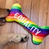 image:imageHuxley amp Kent for Dogs  Fuzzy Soft Seltzer Large  Pride Funny Dog Toy  Power Plush Dog Toy with Squeaker  Dog Gift  Fun Durable and Safe  HampK Squeaky Dog ToyPride Equality Bone