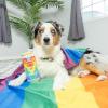 image:imageHuxley amp Kent for Dogs  Fuzzy Soft Seltzer Large  Pride Funny Dog Toy  Power Plush Dog Toy with Squeaker  Dog Gift  Fun Durable and Safe  HampK Squeaky Dog ToyFuzzy Soft Seltzer