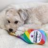 image:imageHuxley amp Kent for Dogs  Fuzzy Soft Seltzer Large  Pride Funny Dog Toy  Power Plush Dog Toy with Squeaker  Dog Gift  Fun Durable and Safe  HampK Squeaky Dog ToyBubbling with Pride Chompagne