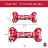 image:imageLulubelles Huxley amp Kent Dog Bundle  Pink Party Time Birthday Bundle  Small  Party Hat Bow Tie Power Plush Dog Bone