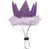 image:imageHuxley amp Kent Pet Party Hat for Dogs amp Cats  Fun Birthday Hat with SnugFit Adjustable Straps  Comfy Pet Costume Accessory for Parties Gotcha Days amp Celebrations  Blue SmallPurple