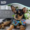 image:imageHuxley amp Kent Bow Tie for Pet  Cinco de Mayo Bow Tie Collar Attachment  Fun Bow Ties for Dogs amp CatsCinco Fiesta