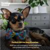 image:imageHuxley amp Kent Bow Tie for Pet  Cinco de Mayo Bow Tie Collar Attachment  Fun Bow Ties for Dogs amp CatsCinco Fiesta