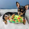 image:imageLulubelles Huxley amp Kent Cinco de Mayo Dog Bundle  Large  Margarita Loco amp Taco Tuesday  Plush Squeaky Crinkle Dog Toys