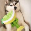 image:imageLulubelles Huxley amp Kent Cinco de Mayo Dog Bundle  Large  Margarita Loco amp Taco Tuesday  Plush Squeaky Crinkle Dog Toys