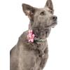 image:imageHuxley amp Kent Pet Pinwheel  Strawberries Small  Spring Collar Accessory for DogsCats  Valentines Day Bow Collar Attachment  Cute Comfortable Accessory  HampK Pinwheel for PetsKiss Kiss