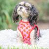 image:imageHuxley amp Kent Hudson Walking amp Training Harness  High Street Plaid ExtraSmall 610lbs  Easy Control Stepin Mesh Vest Harness with Reflective Strips for Safety  HampKStrawberry
