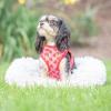 image:imageHuxley amp Kent Hudson Walking amp Training Harness  High Street Plaid ExtraSmall 610lbs  Easy Control Stepin Mesh Vest Harness with Reflective Strips for Safety  HampKStrawberry