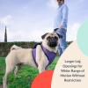 image:imageHuxley amp Kent Hudson Walking amp Training Harness  Tan Leopard Small 1015lbs  Easy Control Stepin Mesh Vest Harness with Reflective Strips for Safety  HampKPurple