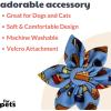 image:imageHuxley amp Kent Pet Pinwheel Bow for Dogs amp Cats  Thanksgiving Fall Adjustable Hook amp Loop Collar Accessory  Cute amp Comfortable for Holidays amp Celebrations  What Me Worry Turkey LargeI Only Have Pies for You
