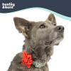 image:imageHuxley amp Kent Pet Pinwheel Bow for Dogs amp Cats  Thanksgiving Fall Adjustable Hook amp Loop Collar Accessory  Cute amp Comfortable for Holidays amp Celebrations  What Me Worry Turkey LargeMoose