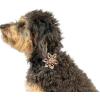 image:imageHuxley amp Kent Pet Pinwheel Bow for Dogs amp Cats  Thanksgiving Fall Adjustable Hook amp Loop Collar Accessory  Cute amp Comfortable for Holidays amp Celebrations  What Me Worry Turkey LargeCoffee to GoGo