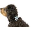 image:imageHuxley amp Kent Pet Pinwheel Bow for Dogs amp Cats  Thanksgiving Fall Adjustable Hook amp Loop Collar Accessory  Cute amp Comfortable for Holidays amp Celebrations  What Me Worry Turkey LargeI Only Have Pies for You