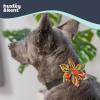 image:imageHuxley amp Kent Pet Pinwheel Bow for Dogs amp Cats  Thanksgiving Fall Adjustable Hook amp Loop Collar Accessory  Cute amp Comfortable for Holidays amp Celebrations  What Me Worry Turkey LargeLeaves  Nuts