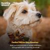 image:imageHuxley amp Kent Pet Pinwheel Bow for Dogs amp Cats  Thanksgiving Fall Adjustable Hook amp Loop Collar Accessory  Cute amp Comfortable for Holidays amp Celebrations  What Me Worry Turkey LargeTurkey Dinner