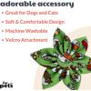 image:imageHuxley amp Kent Pet Pinwheel Bow for Dogs amp Cats  Thanksgiving Fall Adjustable Hook amp Loop Collar Accessory  Cute amp Comfortable for Holidays amp Celebrations  What Me Worry Turkey LargeHappy Camper