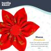 image:imageHuxley amp Kent Pet Pinwheel Bow for Dogs amp Cats  Thanksgiving Fall Adjustable Hook amp Loop Collar Accessory  Cute amp Comfortable for Holidays amp Celebrations  What Me Worry Turkey LargeMoose