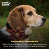 image:imageHuxley amp Kent Pet Pinwheel Bow for Dogs amp Cats  Thanksgiving Fall Adjustable Hook amp Loop Collar Accessory  Cute amp Comfortable for Holidays amp Celebrations  What Me Worry Turkey LargeTurkey Dinner
