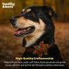 image:imageHuxley amp Kent Pet Pinwheel Bow for Dogs amp Cats  Thanksgiving Fall Adjustable Hook amp Loop Collar Accessory  Cute amp Comfortable for Holidays amp Celebrations  What Me Worry Turkey LargeLeaves  Nuts