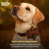 image:imageHuxley amp Kent Pet Pinwheel Bow for Dogs amp Cats  Thanksgiving Fall Adjustable Hook amp Loop Collar Accessory  Cute amp Comfortable for Holidays amp Celebrations  What Me Worry Turkey LargeLeaves  Nuts