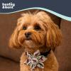 image:imageHuxley amp Kent Pet Pinwheel Bow for Dogs amp Cats  Thanksgiving Fall Adjustable Hook amp Loop Collar Accessory  Cute amp Comfortable for Holidays amp Celebrations  What Me Worry Turkey LargeWoodsy Moose