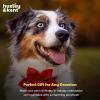 image:imageHuxley amp Kent Pet Pinwheel Bow for Dogs amp Cats  Thanksgiving Fall Adjustable Hook amp Loop Collar Accessory  Cute amp Comfortable for Holidays amp Celebrations  What Me Worry Turkey LargeMoose