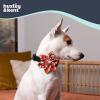 image:imageHuxley amp Kent Pet Pinwheel Bow for Dogs amp Cats  Thanksgiving Fall Adjustable Hook amp Loop Collar Accessory  Cute amp Comfortable for Holidays amp Celebrations  What Me Worry Turkey LargePupkin Spice Latte