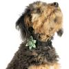 image:imageHuxley amp Kent Pet Pinwheel Bow for Dogs amp Cats  Thanksgiving Fall Adjustable Hook amp Loop Collar Accessory  Cute amp Comfortable for Holidays amp Celebrations  What Me Worry Turkey LargeHappy Camper
