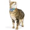 image:imageHuxley amp Kent Pet Pinwheel Bow for Dogs amp Cats  Thanksgiving Fall Adjustable Hook amp Loop Collar Accessory  Cute amp Comfortable for Holidays amp Celebrations  What Me Worry Turkey LargeI Only Have Pies for You